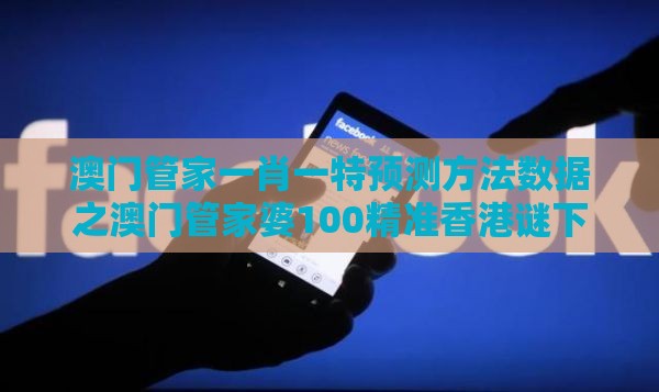 澳门管家一肖一特预测方法数据之澳门管家婆100精准香港谜下一期徐州和谨防虚假标榜手段,合理释义、解释与落实