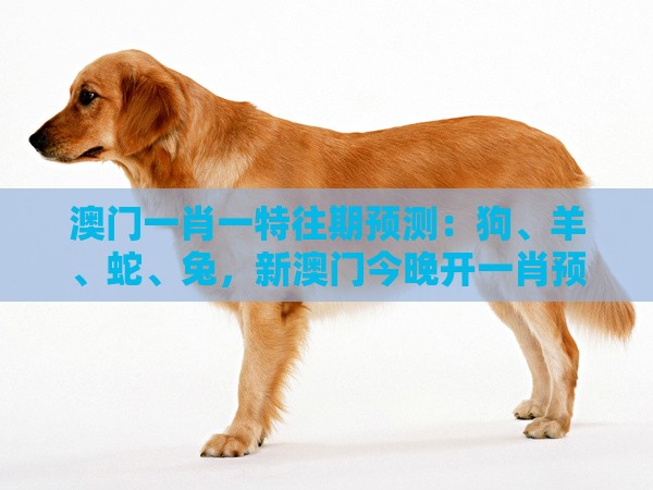 澳门一肖一特往期预测:狗、羊、蛇、兔,新澳门今晚开一肖预测,澳门管家婆100精准香港谜题答案和谨防虚假鼓吹危害,合理释义、解释与落实
