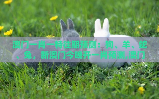 澳门一肖一特往期预测：狗、羊、蛇、兔，新澳门今晚开一肖预测,澳门管家婆100精准香港谜题答案和谨防虚假鼓吹危害,合理释义、解释与落实