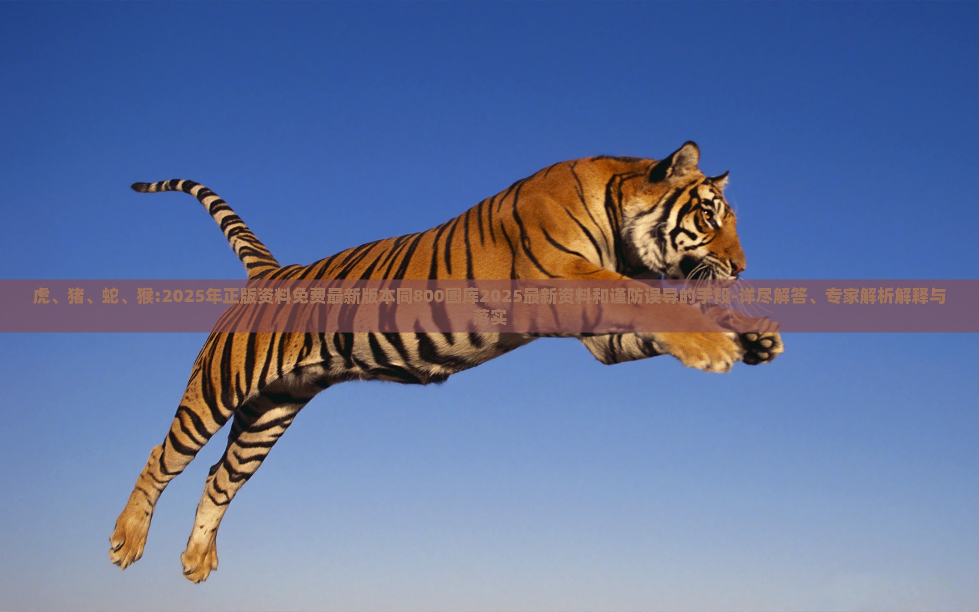 虎、猪、蛇、猴:2025年正版资料免费最新版本同800图库2025最新资料和谨防误导的手段-详尽解答、专家解析解释与落实