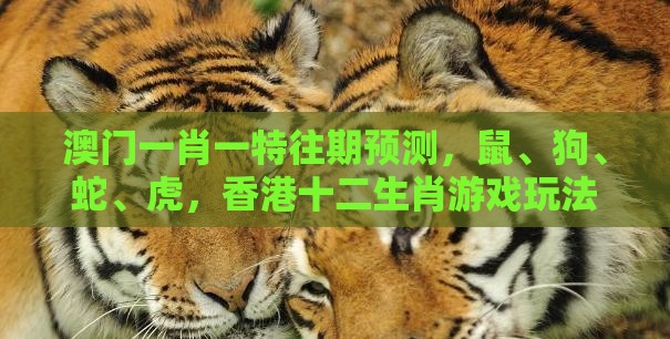 澳门一肖一特往期预测，鼠、狗、蛇、虎，香港十二生肖游戏玩法文化释义、专家解读解释与落实,警惕欺诈套路危害