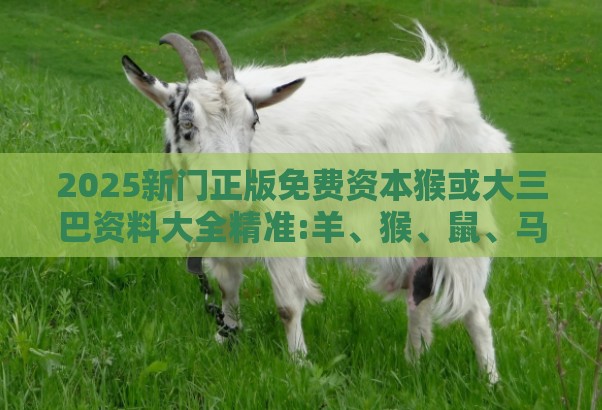 2025新门正版免费资本猴或大三巴资料大全精准:羊、猴、鼠、马和小心夸大的陷阱,精准解答、专家解析解释与落实​