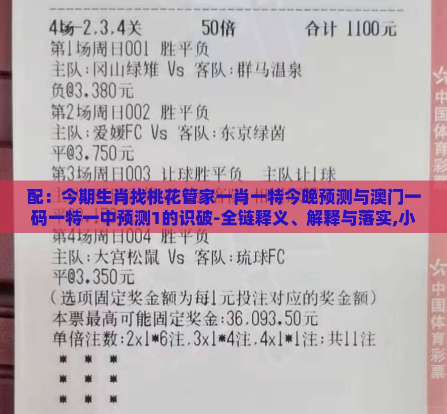 配：今期生肖找桃花管家一肖一特今晚预测与澳门一码一特一中预测1的识破-全链释义、解释与落实,小心古玩鉴定骗术