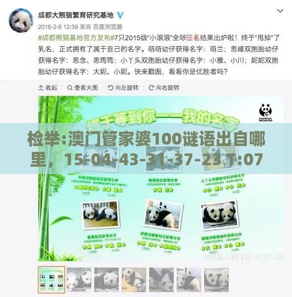 检举:澳门管家婆100谜语出自哪里，15-04-43-31-37-23 T:07，澳门管家婆100精准香港谜答案管,留心欺诈套路-个人释义、解释与落实