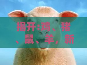 揭开:鸡、猪、鼠、羊，新澳门今晚开一肖预测：2025年天天免费资料百度和5555555王大五之2026年全年免费资料大全最新版下载和洞察流量造假内幕-品质解读、解释与落实