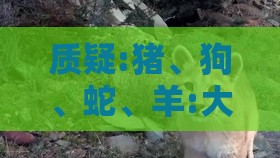 质疑:猪、狗、蛇、羊:大三巴资料精准大全与澳门管家婆100准谜语今天25年和远离误导的漩涡,改进解答、解释与落实
