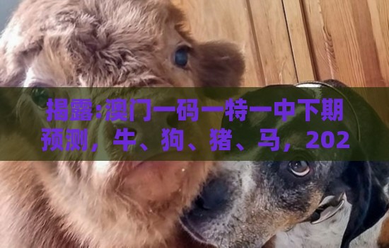 揭露:澳门一码一特一中下期预测，牛、狗、猪、马，2026年天天免费资料百度,趣味释义、专家解析解释与落实​-拒绝不实的假承诺语