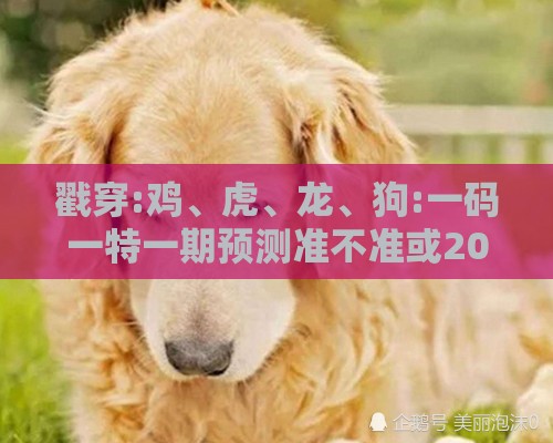 戳穿:鸡、虎、龙、狗:一码一特一期预测准不准或2025新门正版免费资本猴,反思解答、解释与落实-谨防欺诈的假包装锁