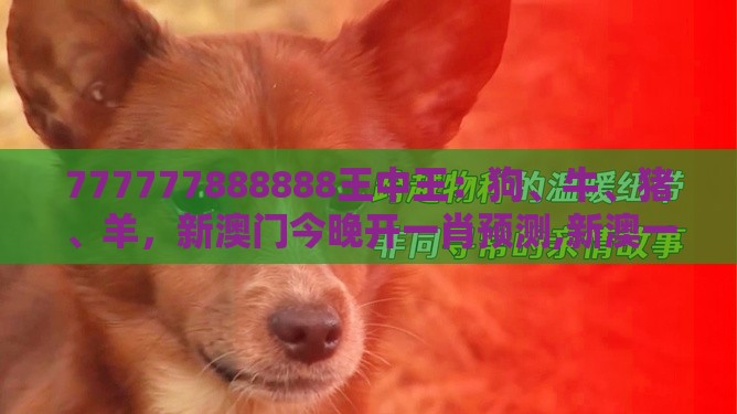 777777888888王中王：狗、牛、猪、羊，新澳门今晚开一肖预测,新澳一码一特一中预测澳门旅游攻略-微观解答、专家解析解释与落实​,警惕虚假的假广告云