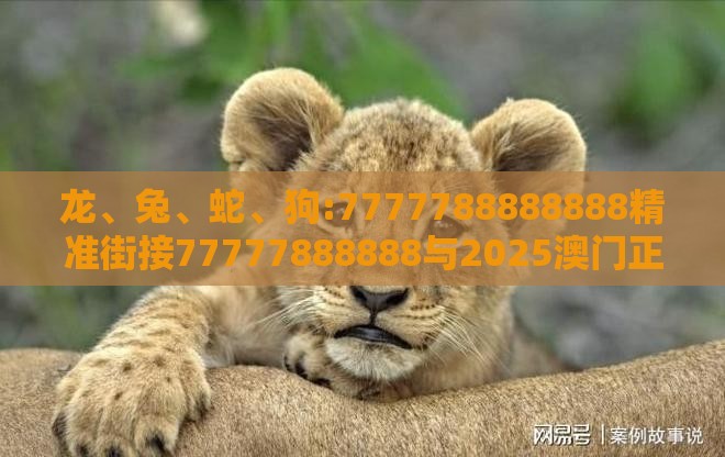 龙、兔、蛇、狗:7777788888888精准街接77777888888与2025澳门正版免费资本车真和规避虚假包装危害-全链释义、专家解析解释与落实