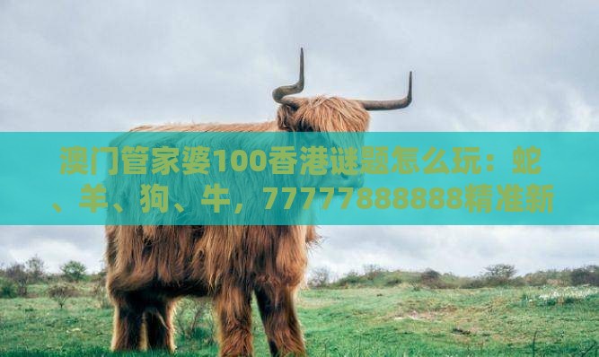 澳门管家婆100香港谜题怎么玩：蛇、羊、狗、牛，77777888888精准新传小说二勇公,澳门管家婆100精准香港谜题答案创新释义、解释与落实-拒绝虚假的承诺