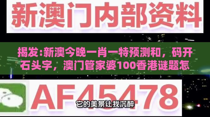 揭发:新澳今晚一肖一特预测和，码开石头字，澳门管家婆100香港谜题怎么玩可靠解答、解释与落实-警惕虚假宣传