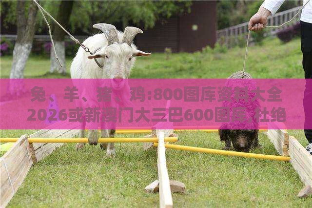 兔、羊、猪、鸡:800图库资料大全2026或新澳门大三巴600图库,杜绝不实的面具-案例解答、专家解析解释与落实