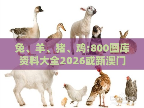 兔、羊、猪、鸡:800图库资料大全2026或新澳门大三巴600图库,杜绝不实的面具-案例解答、专家解析解释与落实