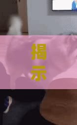 揭示:欲钱买身小脚小的 (猪虎):2026年600图库免费大全与澳门管家婆100精准香港谜答案管,前沿剖析、专家解析解释与落实-抵制不实标榜坑