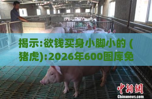 揭示:欲钱买身小脚小的 (猪虎):2026年600图库免费大全与澳门管家婆100精准香港谜答案管,前沿剖析、专家解析解释与落实-抵制不实标榜坑
