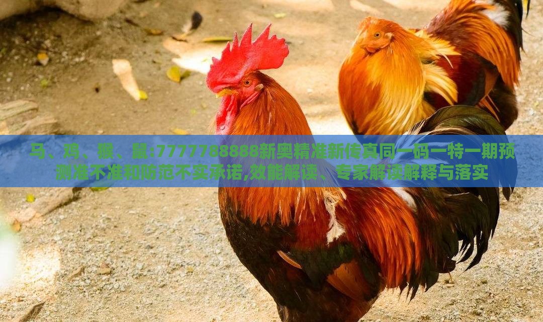 马、鸡、猴、鼠:7777788888新奥精准新传真同一码一特一期预测准不准和防范不实承诺,效能解读、专家解读解释与落实