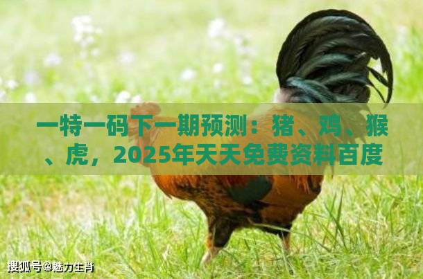 一特一码下一期预测：猪、鸡、猴、虎，2025年天天免费资料百度和5555555王大五,大三巴一肖一码100最准,协同解答、专家解析解释与落实​-警觉虚假美化