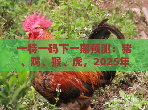 一特一码下一期预测:猪、鸡、猴、虎,2025年天天免费资料百度和5555555王大五,大三巴一肖一码100最准,协同解答、专家解析解释与落实-警觉虚假美化