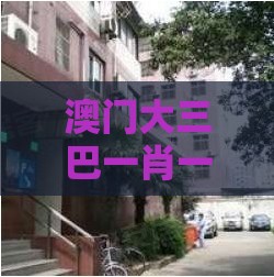 澳门大三巴一肖一特学校宿舍条件,今期鸡要万,2025年天天免费资料百度免费版-创新释义、专家解析解释与落实,拒绝虚假的承诺