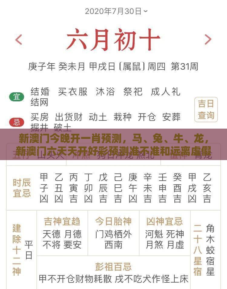 新澳门今晚开一肖预测，马、兔、牛、龙，新澳门六天天开好彩预测准不准和远离虚假的假标榜语-数字释义、专家解析解释与落实