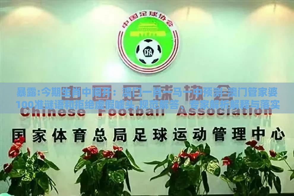 暴露:今期生肖中间开：澳门一肖一马一中预测-澳门管家婆100准谜语和拒绝虚假噱头,规范解答、专家解析解释与落实