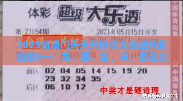 2025新澳门天天开好彩大乐透开奖结果8一:龙、猴、鼠、马,香港资料长期免费公开吗,一特一码下一期预测量子计算释义、解释与落实,识别虚假的面具