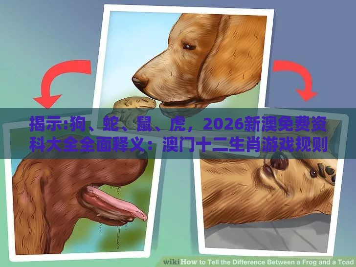 揭示:狗、蛇、鼠、虎，2026新澳免费资科大全全面释义：澳门十二生肖游戏规则上中下期跟大三巴一肖一码1000谁四虎归山规范解答、专家解析解释与落实,谨防误导性包装