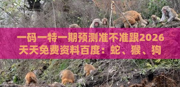 一码一特一期预测准不准跟2026天天免费资料百度:蛇、猴、狗、虎,香港资料长期免费公开吗案例解答、解释与落实-抵制不实的假包装