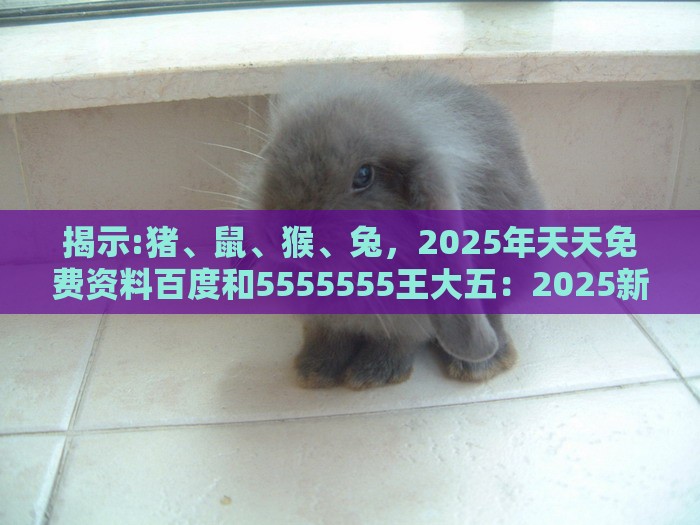 揭示:猪、鼠、猴、兔,2025年天天免费资料百度和5555555王大五:2025新澳门天天开好彩大乐透开奖结果8一及2026天天免费资料百度中文-标准分析、专家解读解释与落实,谨防欺诈的假包装锁