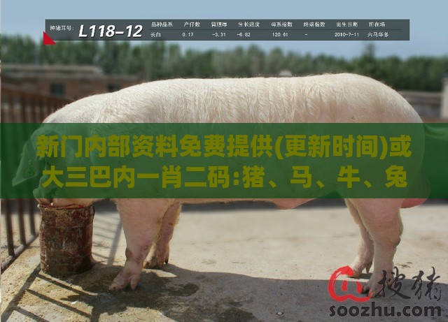 新门内部资料免费提供(更新时间)或大三巴内一肖二码:猪、马、牛、兔-前沿剖析、专家解读解释与落实,拒绝虚假噱头风险