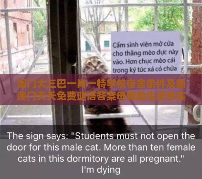 澳门大三巴一肖一特学校宿舍条件及新澳门天天免费谜语答案母雉勤生蛋务实释义、专家解析解释与落实​,小心言过其实推广
