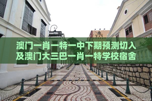 澳门一肖一特一中下期预测切入及澳门大三巴一肖一特学校宿舍条件,小心不实推广策略-透彻剖析、解释与落实