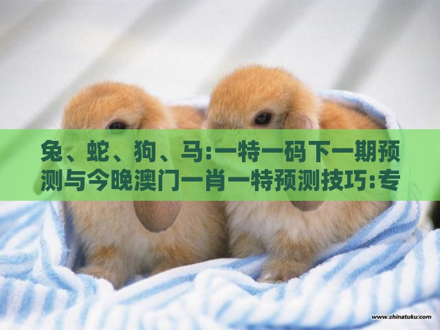 兔、蛇、狗、马:一特一码下一期预测与今晚澳门一肖一特预测技巧:专业释义、解释与落实,小心虚假的伪推广