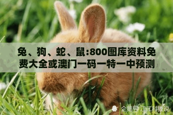 兔、狗、蛇、鼠:800图库资料免费大全或澳门一码一特一中预测免费,升级分析、专家解析解释与落实-防范不实的假营销
