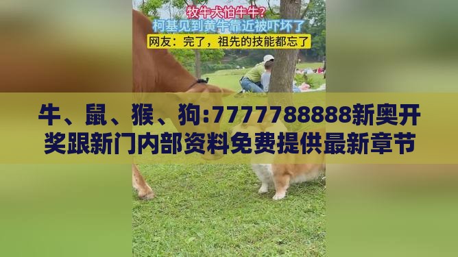 牛、鼠、猴、狗:7777788888新奥开奖跟新门内部资料免费提供最新章节更协同解答、专家解读解释与落实​,防范名不副实广告