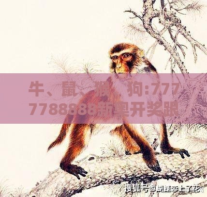 牛、鼠、猴、狗:7777788888新奥开奖跟新门内部资料免费提供最新章节更协同解答、专家解读解释与落实,防范名不副实广告