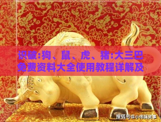 识破:狗、鼠、虎、猪:大三巴免费资料大全使用教程详解及新门内部资料最准确更新时间和远离误导的言辞-标准分析、专家解析解释与落实