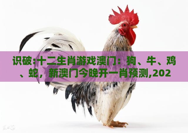 识破:十二生肖游戏澳门：狗、牛、鸡、蛇，新澳门今晚开一肖预测,2025年天天免费资料百度免费版和留心欺诈的手段-关键解答、专家解读解释与落实​