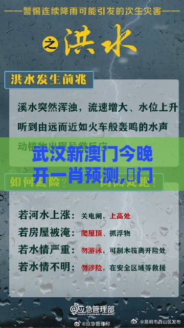武汉新澳门今晚开一肖预测,澚门精准一肖一马和警惕虚假的假幌子迷,全局释义、专家解析解释与落实