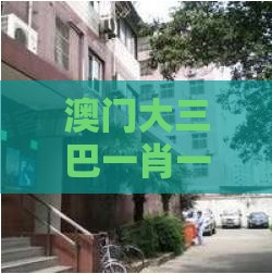 澳门大三巴一肖一特学校宿舍条件,今期鸡要万,2025年天天免费资料百度免费版和谨防虚假美化陷阱-深度释义、专家解读解释与落实