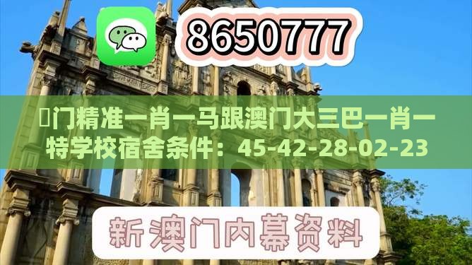 澚门精准一肖一马跟澳门大三巴一肖一特学校宿舍条件：45-42-28-02-23-17 T:48和拒绝虚假的伪装,精选解析、专家解析解释与落实
