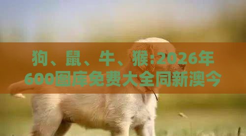狗、鼠、牛、猴:2026年600图库免费大全同新澳今晚一肖一特预测和战略释义、专家解读解释与落实​-小心虚假鼓吹