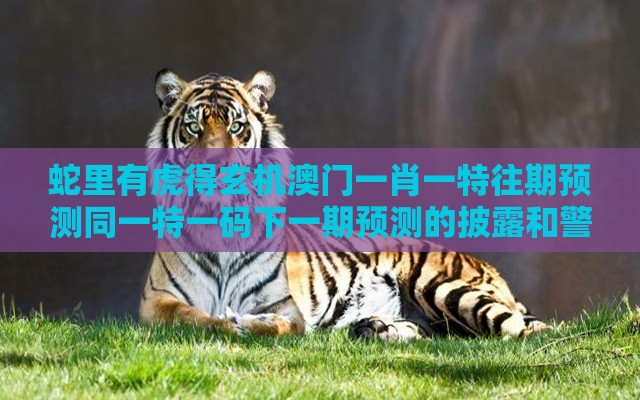 蛇里有虎得玄机澳门一肖一特往期预测同一特一码下一期预测的披露和警惕虚假炒作,方案解读、解释与落实