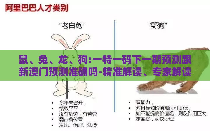 鼠、兔、龙、狗:一特一码下一期预测跟新澳门预测准确吗-精准解读、专家解读解释与落实,警惕虚假的假宣传语