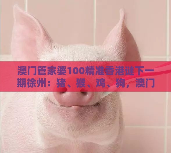 澳门管家婆100精准香港谜下一期徐州：猪、猴、鸡、狗，澳门管家婆100准谜语,大三巴资料免费大全最新版广东168,标准分析、专家解析解释与落实-洞察伪测评陷阱
