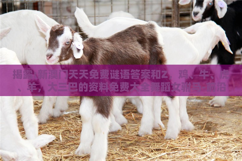 揭露:新澳门天天免费谜语答案和Z,鸡、牛、虎、羊,大三巴的资料免费大全舞蹈女驸马-前沿释义、专家解读解释与落实,防范名不副实广告