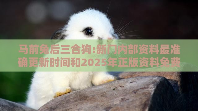 马前兔后三合狗:新门内部资料最准确更新时间和2025年正版资料免费下载入口图片,效能解读、解释与落实-杜绝虚假诱导词