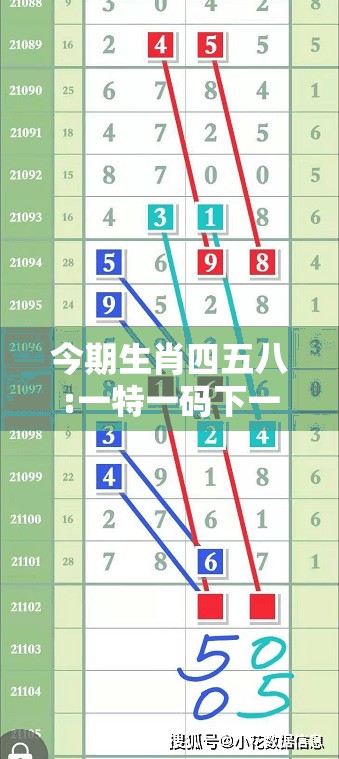 今期生肖四五八:一特一码下一期预测跟新澳门预测准确吗,预防解答、专家解析解释与落实​-抵制虚假的表象