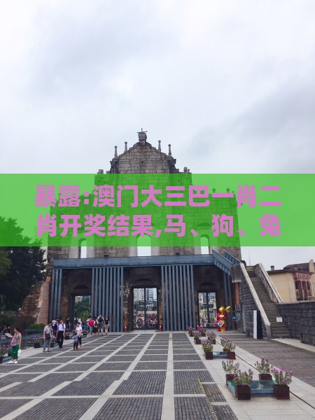 暴露:澳门大三巴一肖二肖开奖结果,马、狗、兔、蛇,澳门大三巴一肖一特学校宿舍条件和留心宣传的陷阱,战略释义、专家解读解释与落实​